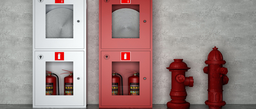 1641870567466260.jpg 11.jpg