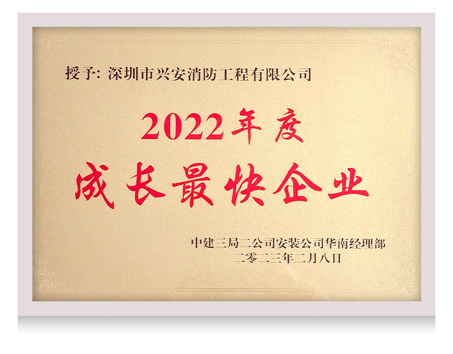 2022年度成长最快企业
